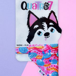 Bandana 2en1 Color
