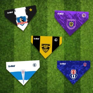 Bandana Goleadora
