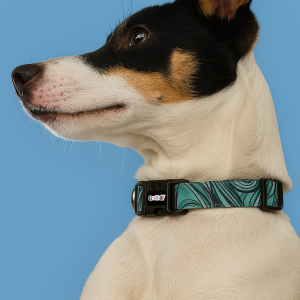 Collar Personalizado