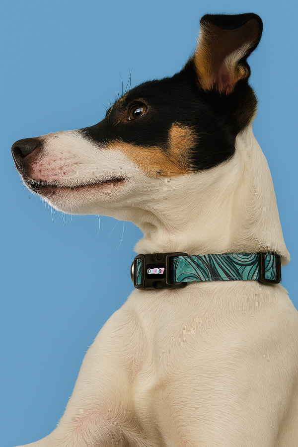 baki collar